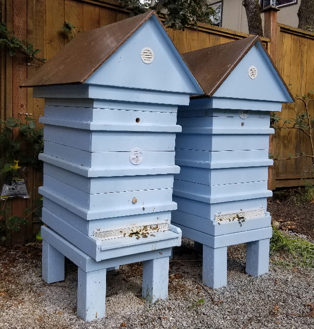 9 Frame Medium Langstroth Hive Bodies, Saanich, BC  2018