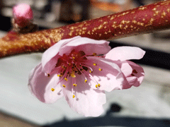 20190320_133109