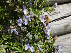20190426_120337