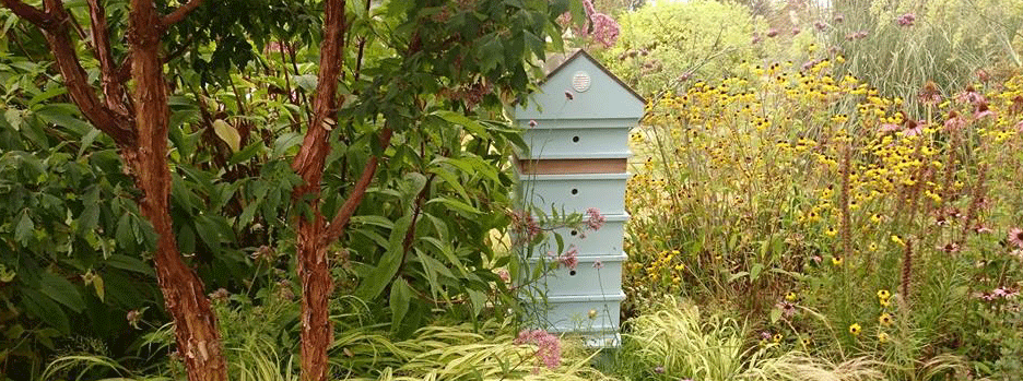 Point-Roberts-Hive